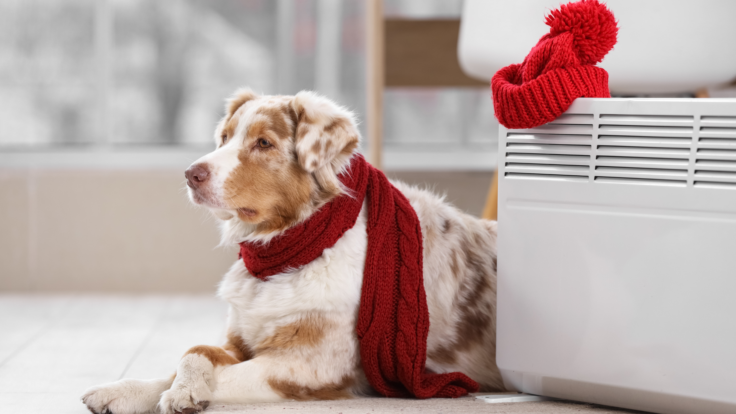 Аэродверь Retrotec RU-6000